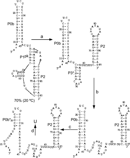 FIGURE 9.