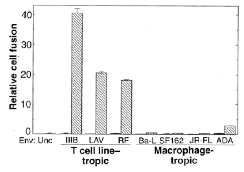 Fig. 5