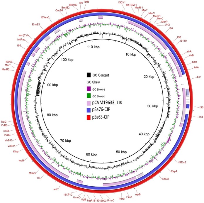 FIG 1