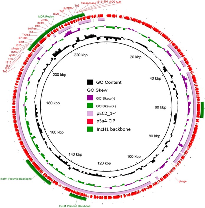 FIG 2