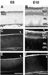 FIG. 5.