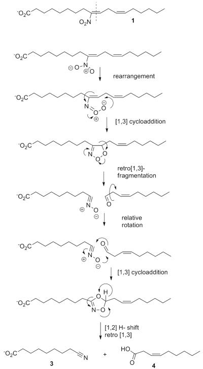 Scheme 5