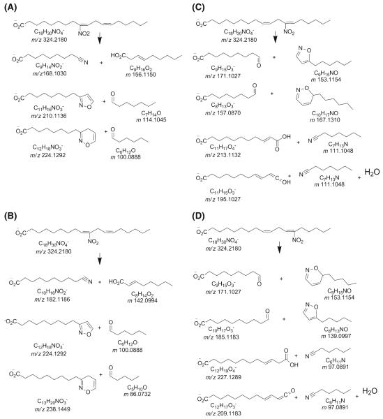 Scheme 3