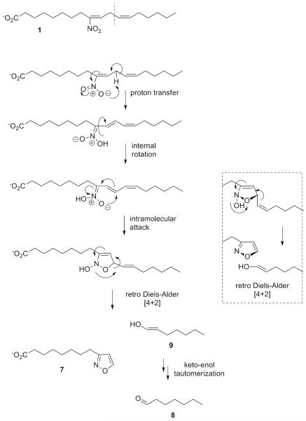 Scheme 7