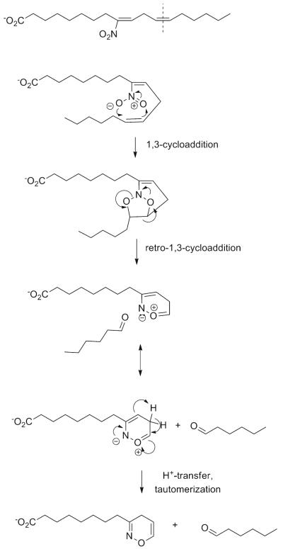 Scheme 9