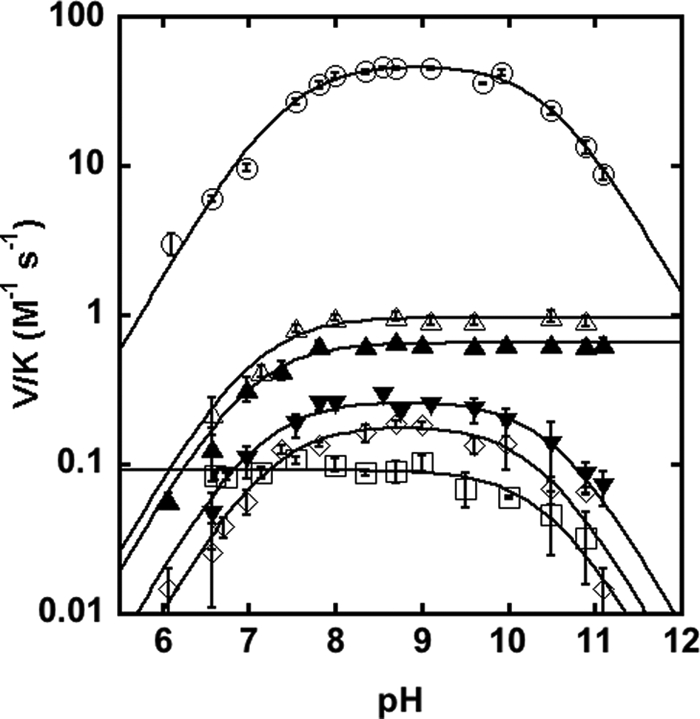 FIGURE 4.