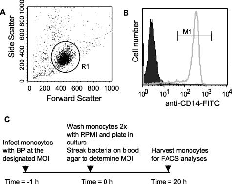 FIG. 1.