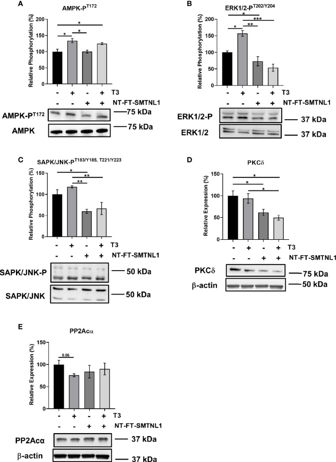 Figure 7