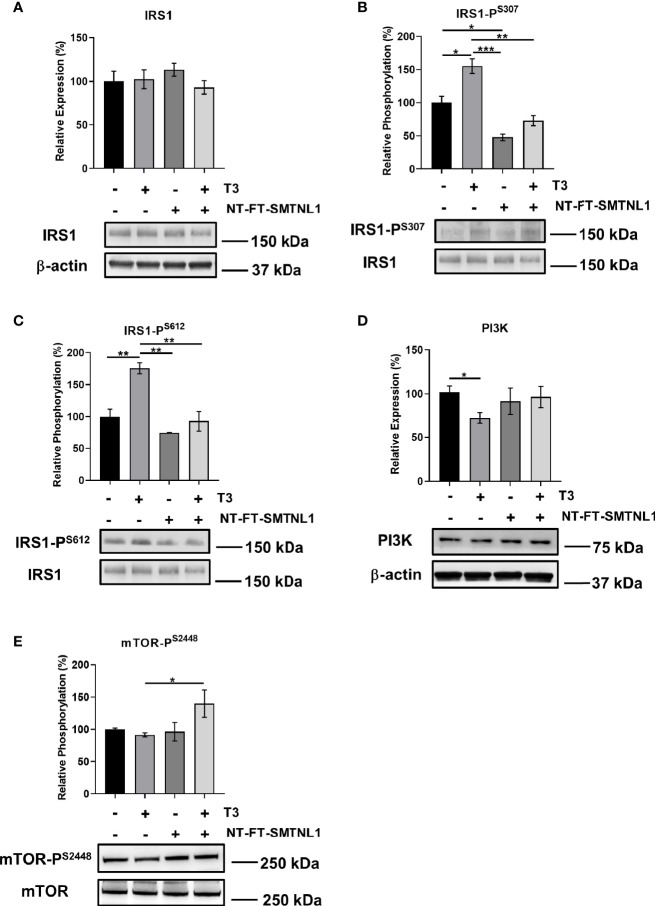 Figure 6