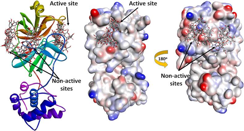 Fig. 3