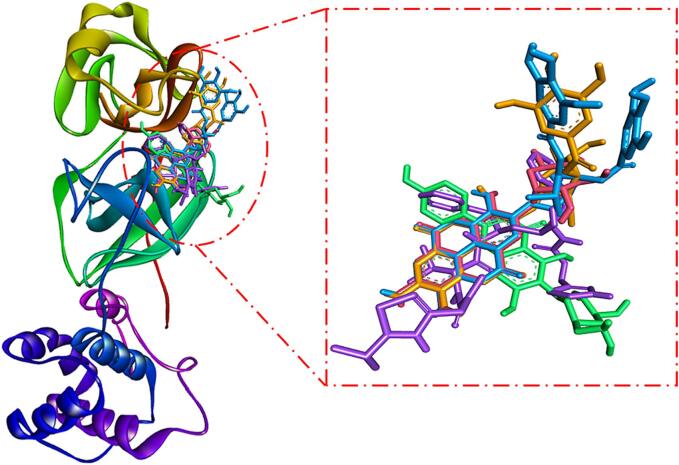 Fig. 4