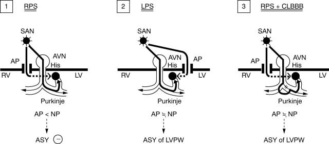 Figure 5  