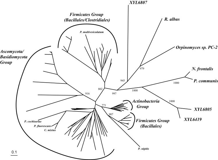 FIG. 3.