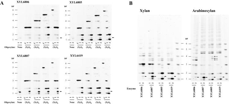 FIG. 5.