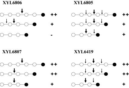 FIG. 6.