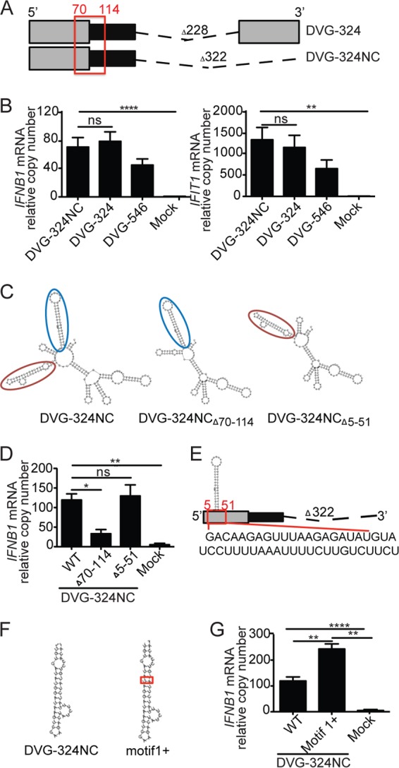 FIG 4 