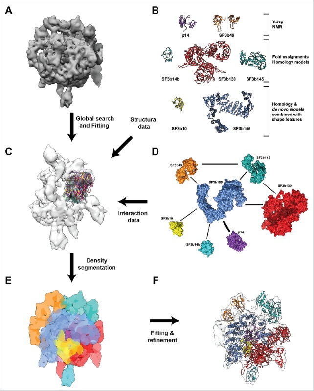 Figure 1.