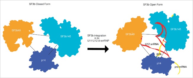 Figure 7.