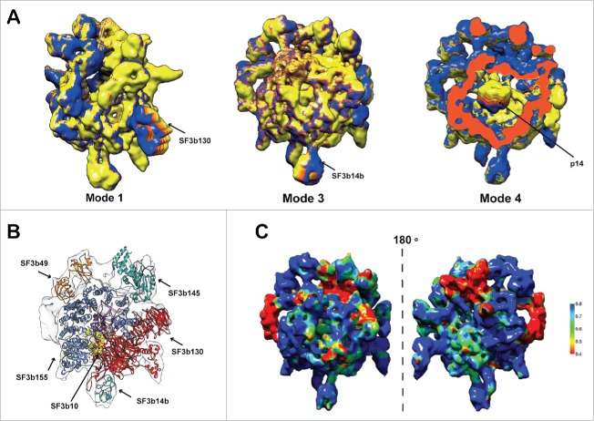 Figure 2.