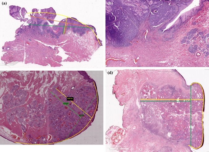 Fig. 2