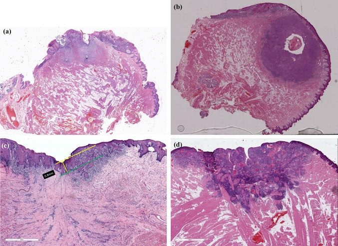 Fig. 3