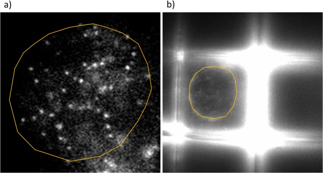 Fig. 9