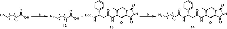 Scheme 3.