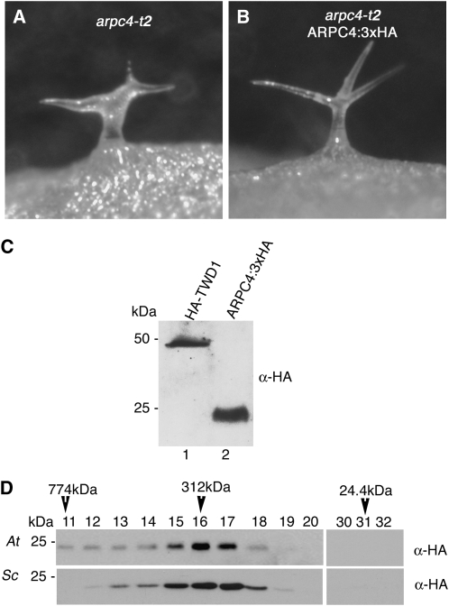 Figure 4.