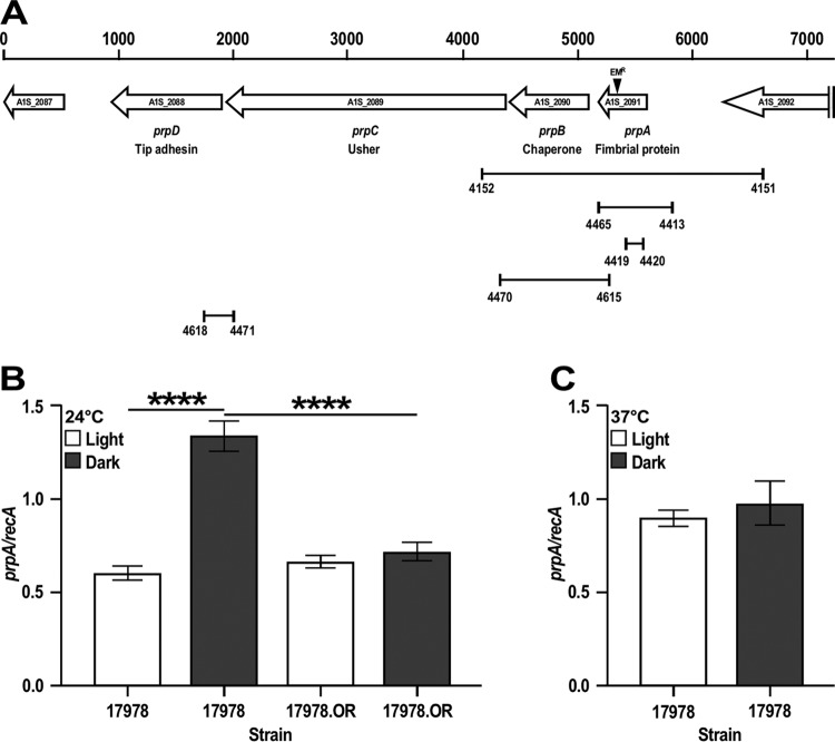 FIG 1