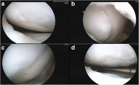 Fig. 5