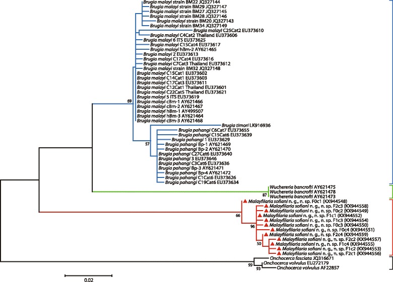 Fig. 6