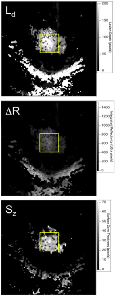 Fig. 3