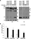FIG 2