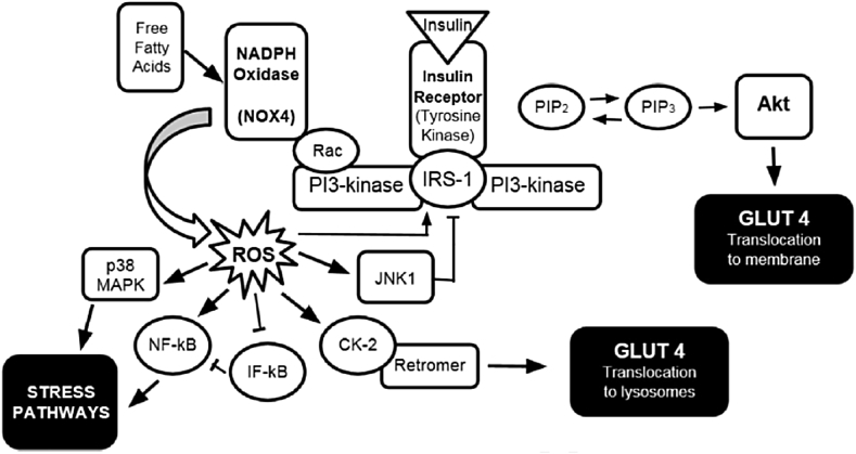 Fig. 1