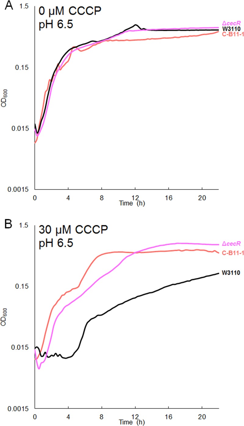 FIG 5