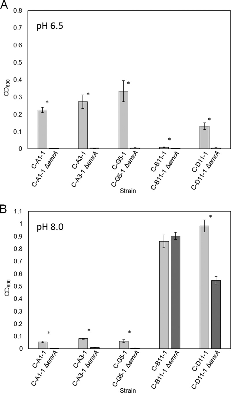 FIG 4