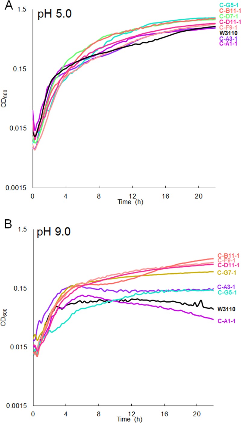 FIG 8