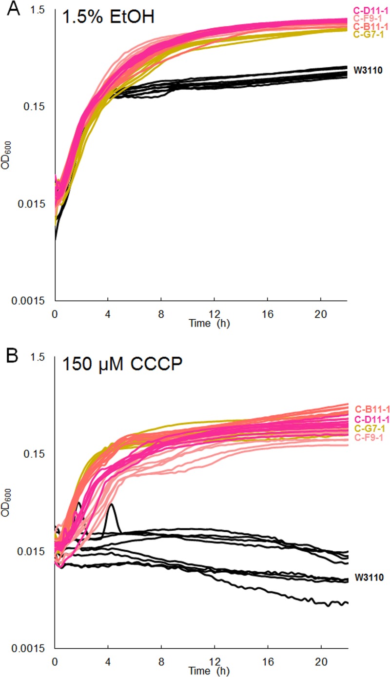 FIG 10