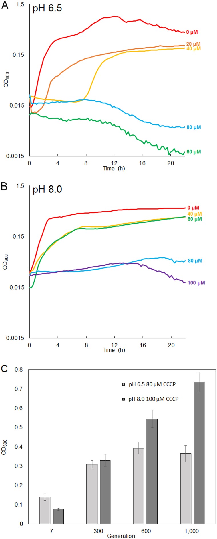 FIG 1