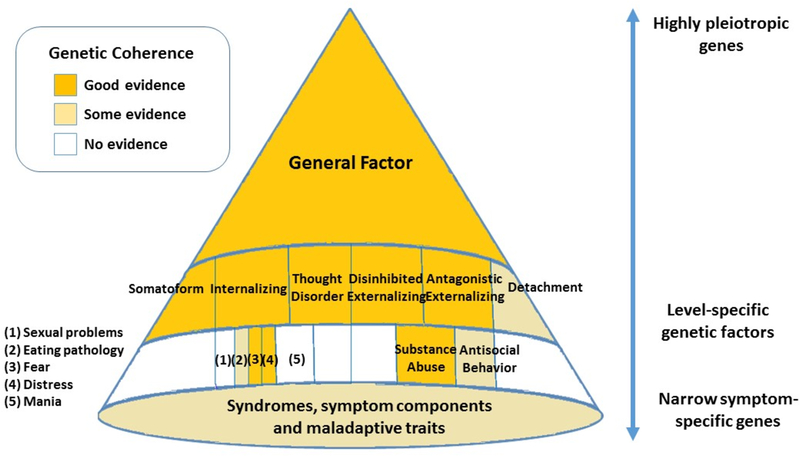 Figure 2 -