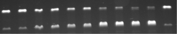 graphic file with name Beilstein_J_Org_Chem-20-101-i002.jpg