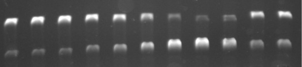 graphic file with name Beilstein_J_Org_Chem-20-101-i001.jpg