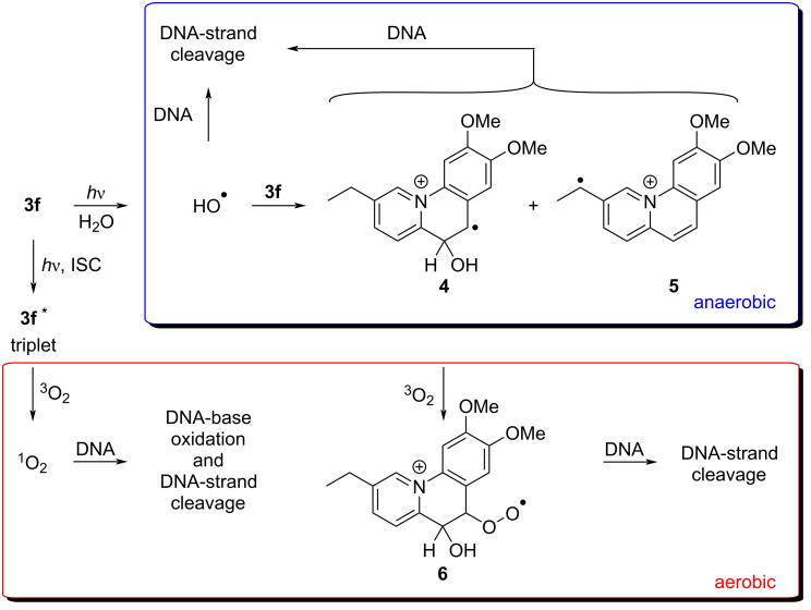 Scheme 4