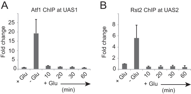 FIG 3