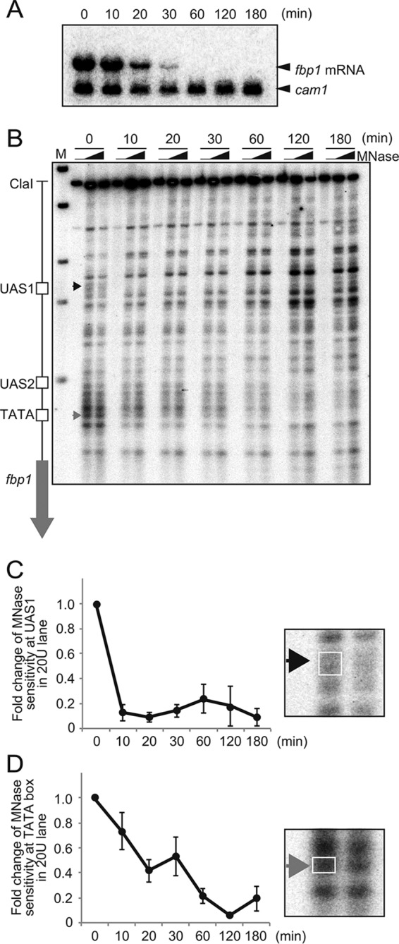 FIG 1