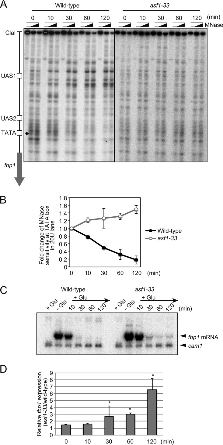 FIG 6