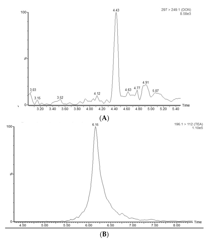 Figure 12