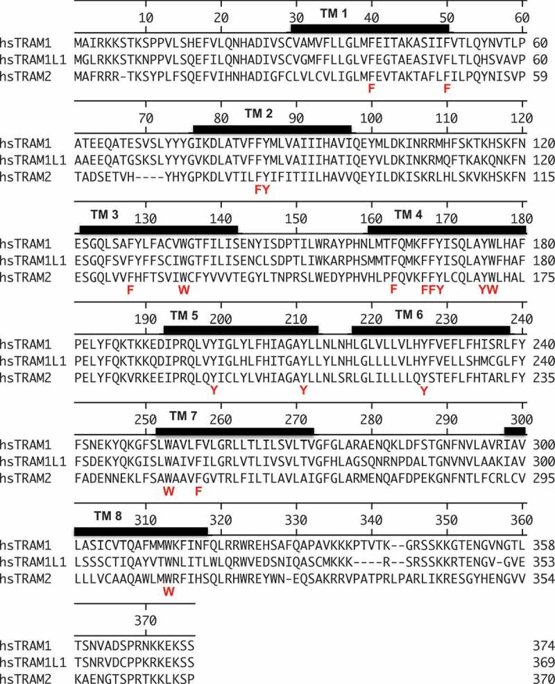 Figure 2.