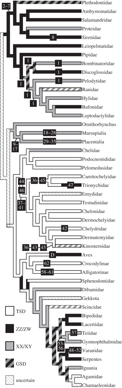 Figure 1.