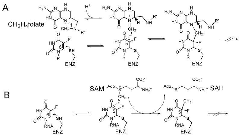 Scheme 4